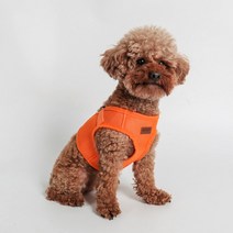 딩동펫 반려동물 베이직 워킹 하네스, 오렌지