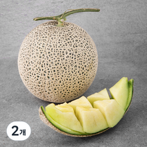 곰곰 농협 고당도 부여 멜론, 1.25kg, 2개