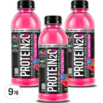 프로틴투오 단백질보충 프로틴 음료 믹스베리 + 전해질, 500ml, 9개