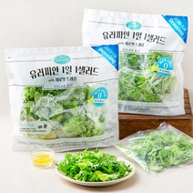 팜에이트 유러피안 1일 1샐러드 with 제로팻 드레싱, 240g, 2개