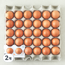 [로켓프레시] 무항생제 신선 대란 1.56kg