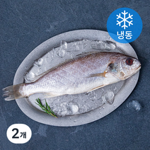 다미원 국내산 손질 백조기 (냉동), 220g, 2개