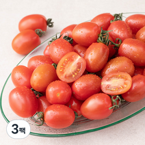 곰곰 친환경 대추방울 토마토, 500g, 3팩