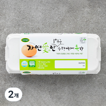 자연애찬 무항생제 1+등급 특란 10구, 2개