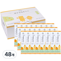 순수한집 감귤 쫀드기, 25g, 48개
