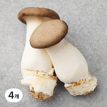 새송이버섯 2입, 170g, 4개