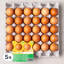 조인 특란 30구, 5개