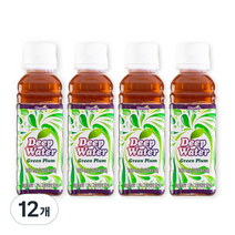 테일러팜스 딥워터 매실, 180ml, 12개
