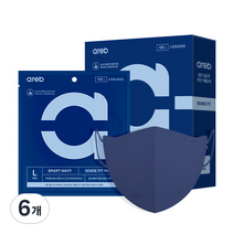 아레브 센스핏 새부리형 컬러 마스크 대형, 스마트네이비, 6개, 10개입