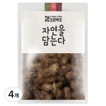 조은약초 자연을 담는다 프리미엄 창이자, 300g, 4개