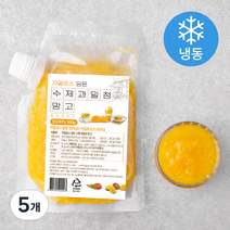자일로스 담은 수제과일청 망고 (냉동), 500g, 5개