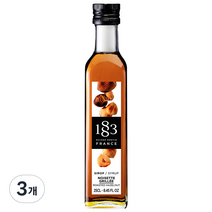 1883메종루틴 로스티드 헤이즐넛향 시럽, 3개, 250ml