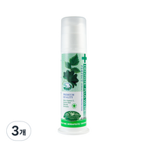 덴티스테 플러스화이트 펌프형 치약, 170g, 3개