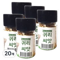 힐링타임 캣그라스 씨앗, 귀리, 20개