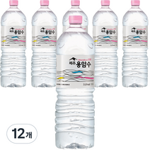 제주용암수, 2L, 12개