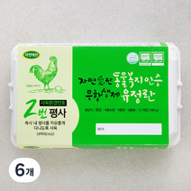 자연애찬 동물복지 무항생제 유정란 15구, 6개