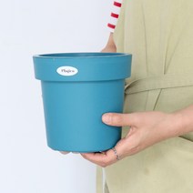 모리앤 플라티코 베이시스 플라스틱 화분, 클리어그린