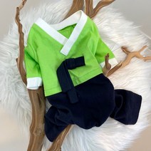 까니쉬 강아지 코튼 생활 한복 올인원 남, 연두