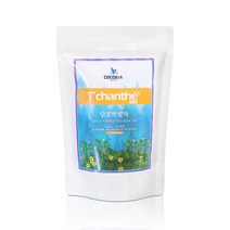 티샹떼 삼각망 단호박팥차, 1g, 100개