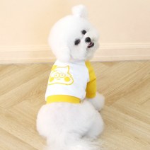 오드스튜디오 따또 크레용 크롭 강아지 티셔츠, Yellow