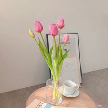진심디자인 조화 쉴레 튤립 5송이, 보라