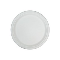 사탕수수 종이 일회용 접시 26cm, 1개입, 500개