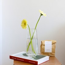 하루의공간 엠버 유리 화병, 투명