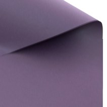 색상지 자수정 T44 135g, 16개