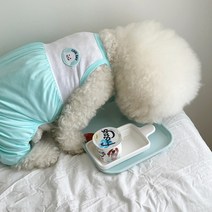 바이담수미 강아지 쿨데이 올인원, 블루