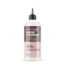 글로스브로 오토클린스 페인트 클렌저, 1개, 300ml