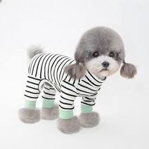 반려동물 스트라이프 쫄쫄이 올인원, 화이트