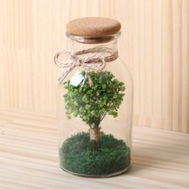 로맨틱노벰버 안개꽃 드라이플라워 투명 보틀 500ml, 라이트그린