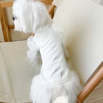 랜보어 강아지 도트 퍼프소매 티셔츠, 화이트