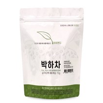 아이앤티 박하차 삼각 티백 60p, 72g, 1개