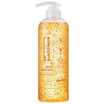 닥터방기원 바이오틴 두피활력 캡슐탈모방지샴푸, 740ml, 1개