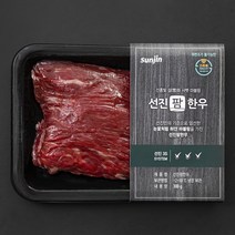선진팜한우 양지 1+등급 국거리용 (냉장), 300g, 1팩