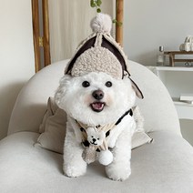 바이담수미 강아지 모자, 브라운