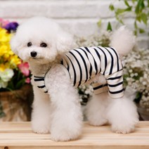 펫디자인 반려견 세인트 끈나시 올인원, 네이비