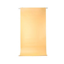 크로마키 스크린 유튜브 스튜디오 사진 배경지 PVC 배경지 중, 샌드, 1개