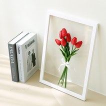 리틀래빗 인테리어 튤립 투명 식물 액자, 화이트액자/레드튤립
