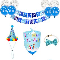 에피 반려동물 생일파티 풀세트, 01 블루, 1세트