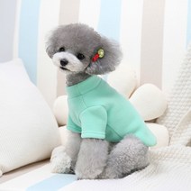 파스텔펫 반려동물 하트베어 터틀넥 플리스 티셔츠, 그린