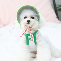 오드펫 또또또친구들 썬캡, 그린(껴또)