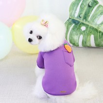 딩동펫 반려동물 당근 포켓 티셔츠, 퍼플