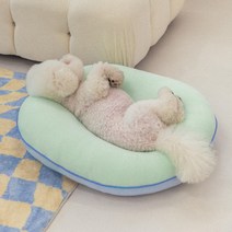 포글 반려동물 허그 쿠션, 클리어민트