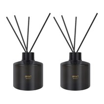 에어아트 에어테리어 아로마 디퓨저 200ml x 2p + 리드스틱 10p 세트, 그린 소일