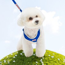 래핑찰리 강아지 이지 세이프 해충방지 하네스, 블루