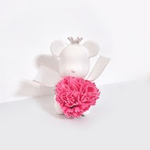 라비다 뉴 카네이션 곰돌이 석고 오너먼트 진핑크 x 2p + 석고방향제 리필 오일 3ml x 2p, 체리블러썸