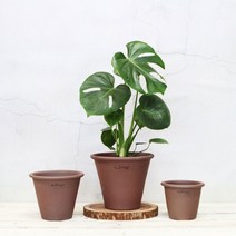 마마스스튜디오 슬림라운드 베이직링팟 수제 토분, 바이올렛