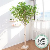 실내인테리어 인조나무 123종 / 플트 조화나무 C, C05.기본Y자형 자작나무 230cmK/코너형